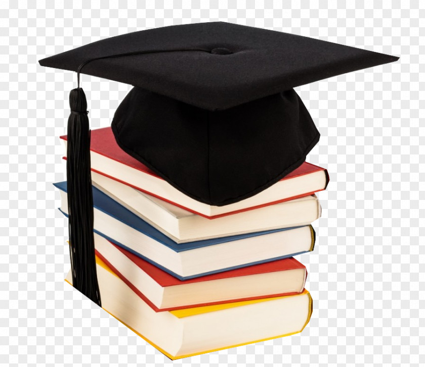 Bachelor's Degree Laurea Avhandling Academic University Education PNG