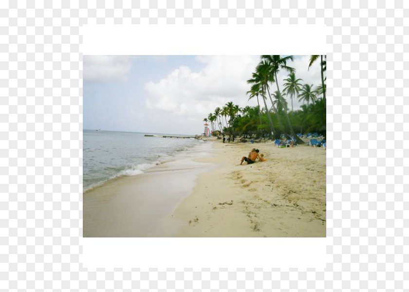 Beach Caribbean Sea Coast Ocean PNG