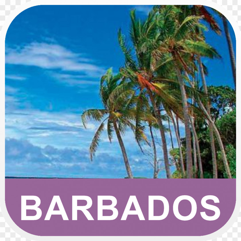 Beach Hawaii Desktop Wallpaper Tropical Islands Resort Barbados PNG