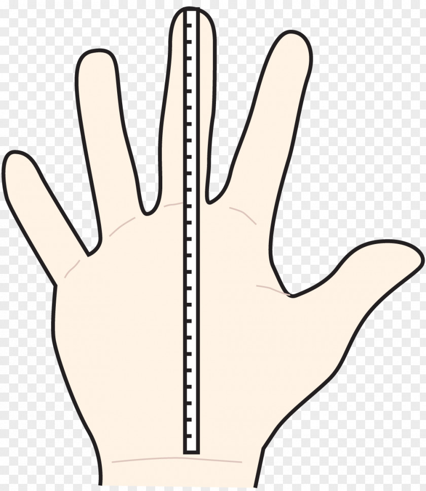Middle Finger Hand Model Thumb Line Art PNG