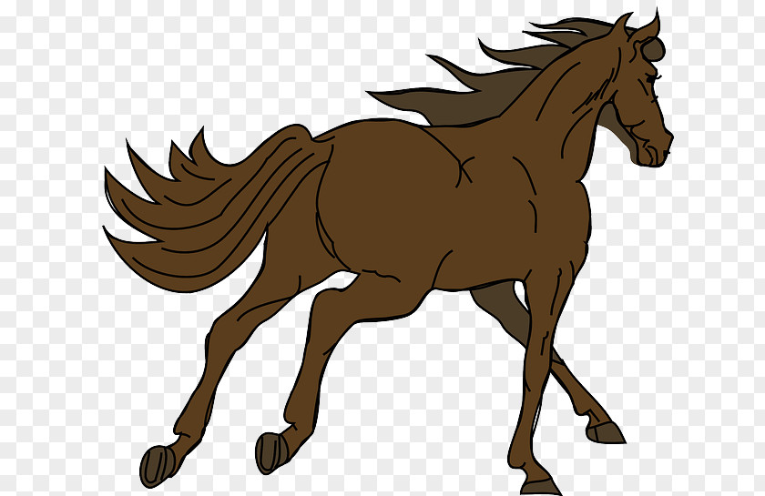 Mustang Foal Morgan Horse Clip Art Pony PNG