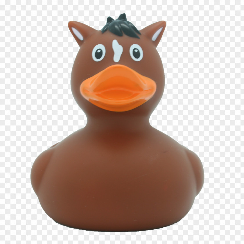 Rubber Duck Horse Domestic Cat PNG