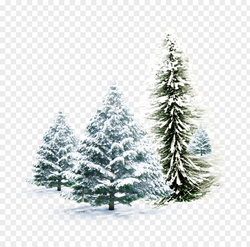 Snow Pine Combination Christmas Card Igloo Snowman Wallpaper PNG