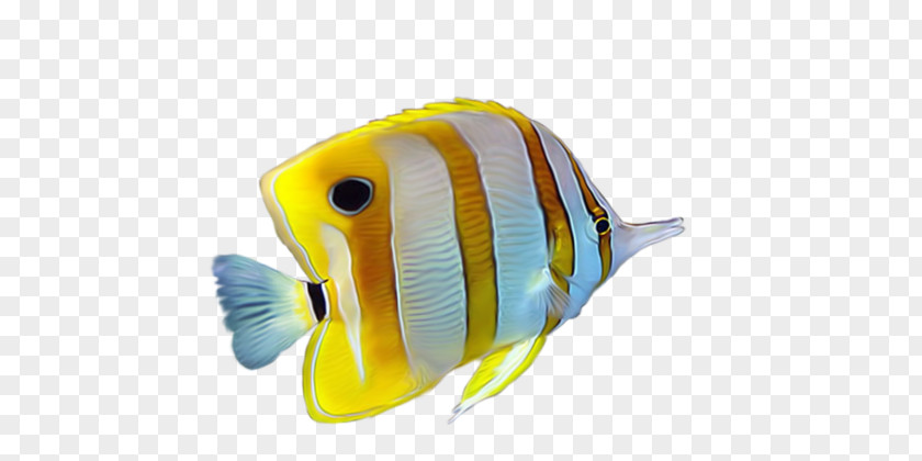 Yellow Striped Tropical Fish PNG
