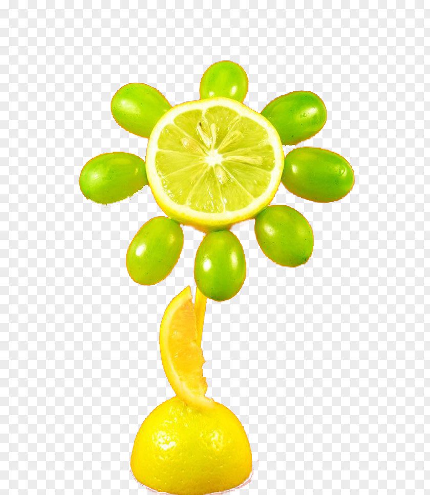 Lemon Flower Design Lime Orange PNG