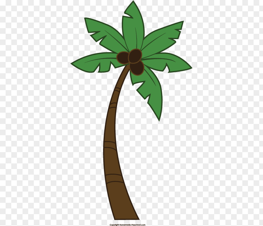 Palmleaf Tree Arecaceae Clip Art PNG