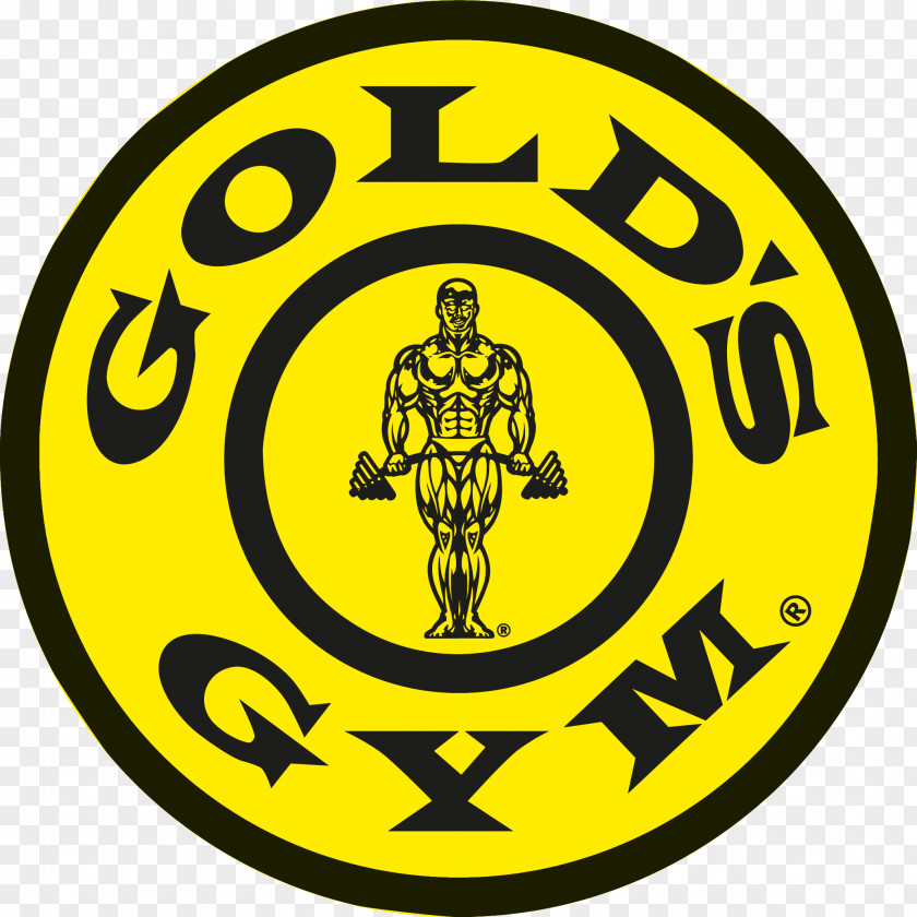 Sports Equipment Fitness Centre Gold's Gym Bench Physical PNG