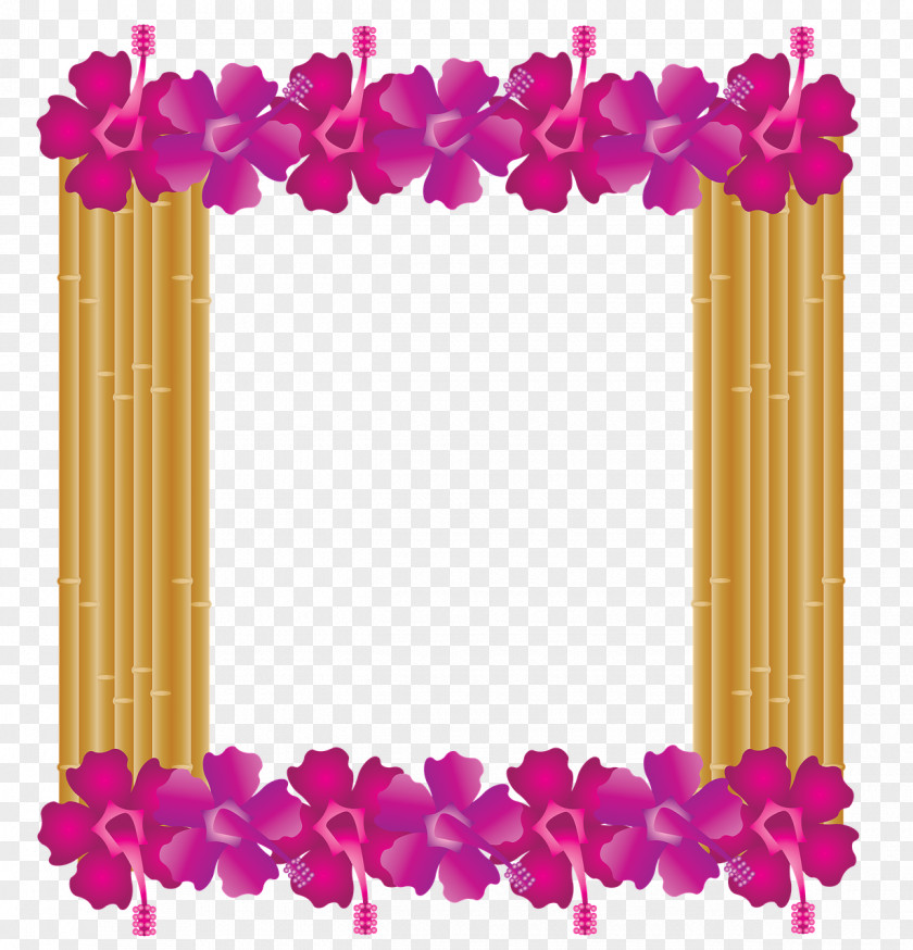Tropical Framed Art Picture Frames Clip Floral Design Image Hawaii PNG