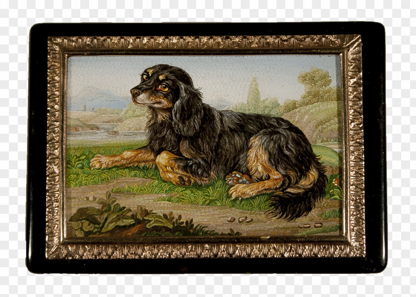 Dog Breed Spaniel Picture Frames Crossbreed PNG