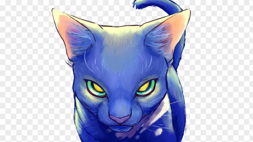 Clear Sky Korat Whiskers Kitten Warriors DeviantArt PNG