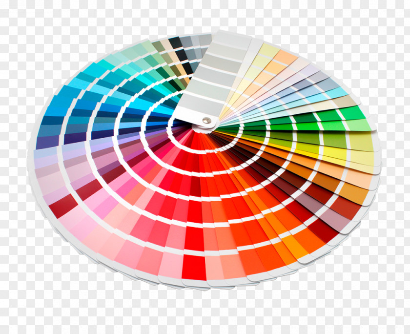 Design Color Chart Graphic Pantone PNG