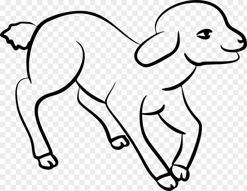Drawing Leicester Longwool Line Art Clip PNG