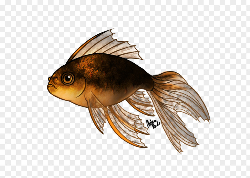 Goldfish Fantail Oranda Lionhead Koi Fish PNG