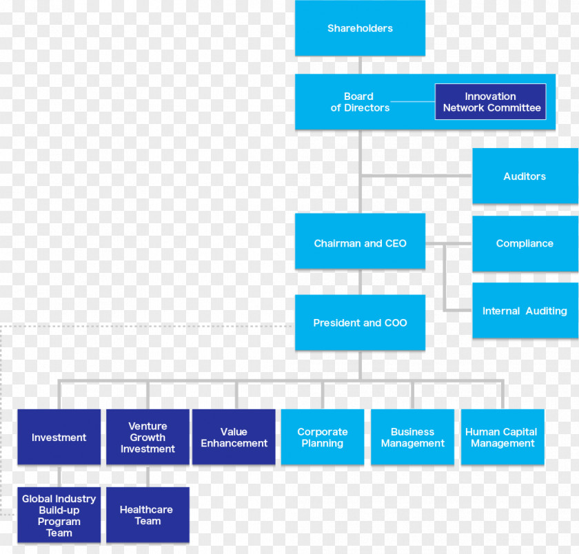 Business Organizational Structure Innovation INCJ Corporate Governance PNG