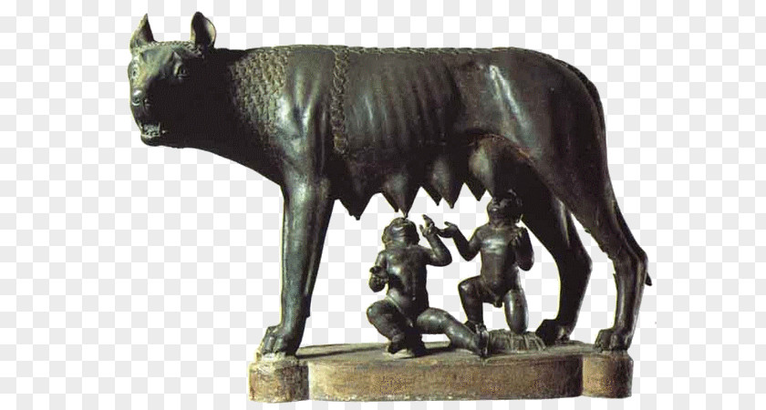 Capitoline Wolf Ancient Rome Museums Etruscan Civilization Gray PNG