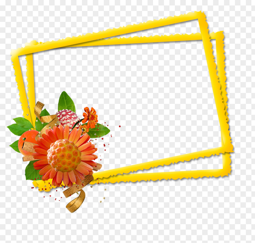 Flower Image Centerblog Design PNG