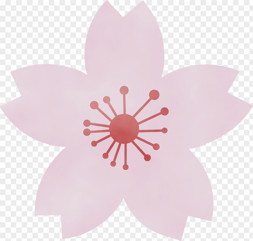 Petal Pink Flower Plant Wildflower PNG