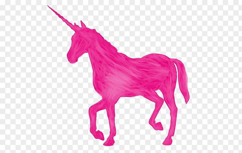 Unicorn PNG