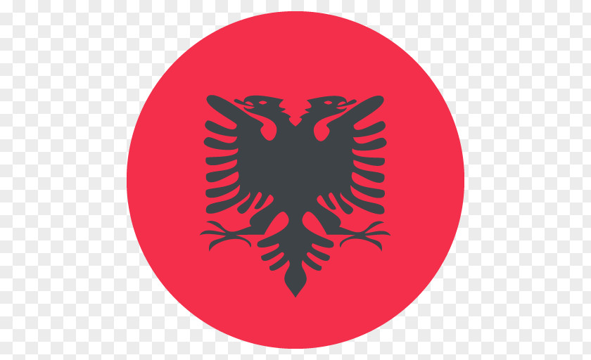 Albania UEFA Euro 2016 Royalty-free Information Football PNG