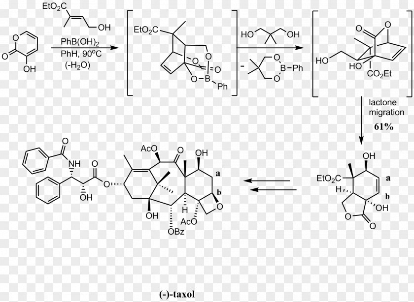 Diels–Alder Reaction Chemical Organic Chemistry Diene PNG