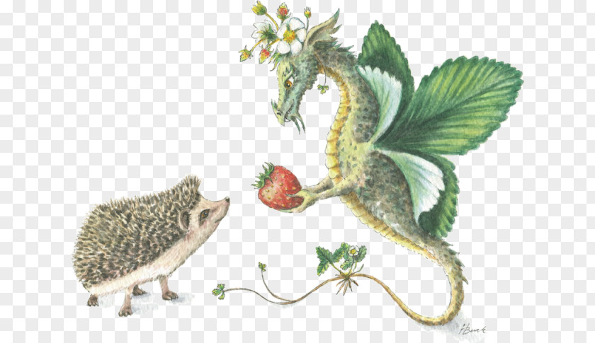 Eastern Prickly Pear Hedgehog Animal Dragon Christmas Greeting & Note Cards PNG