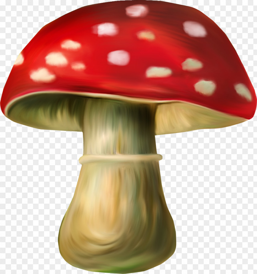 Gnome Mushroom Elf Dwarf Clip Art PNG