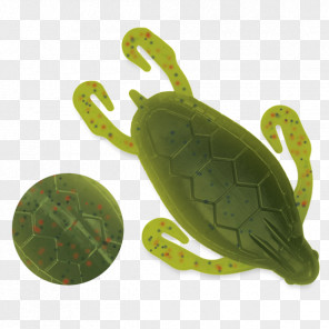 Turtle PNG Images - Turtle Images Collection (7,387)