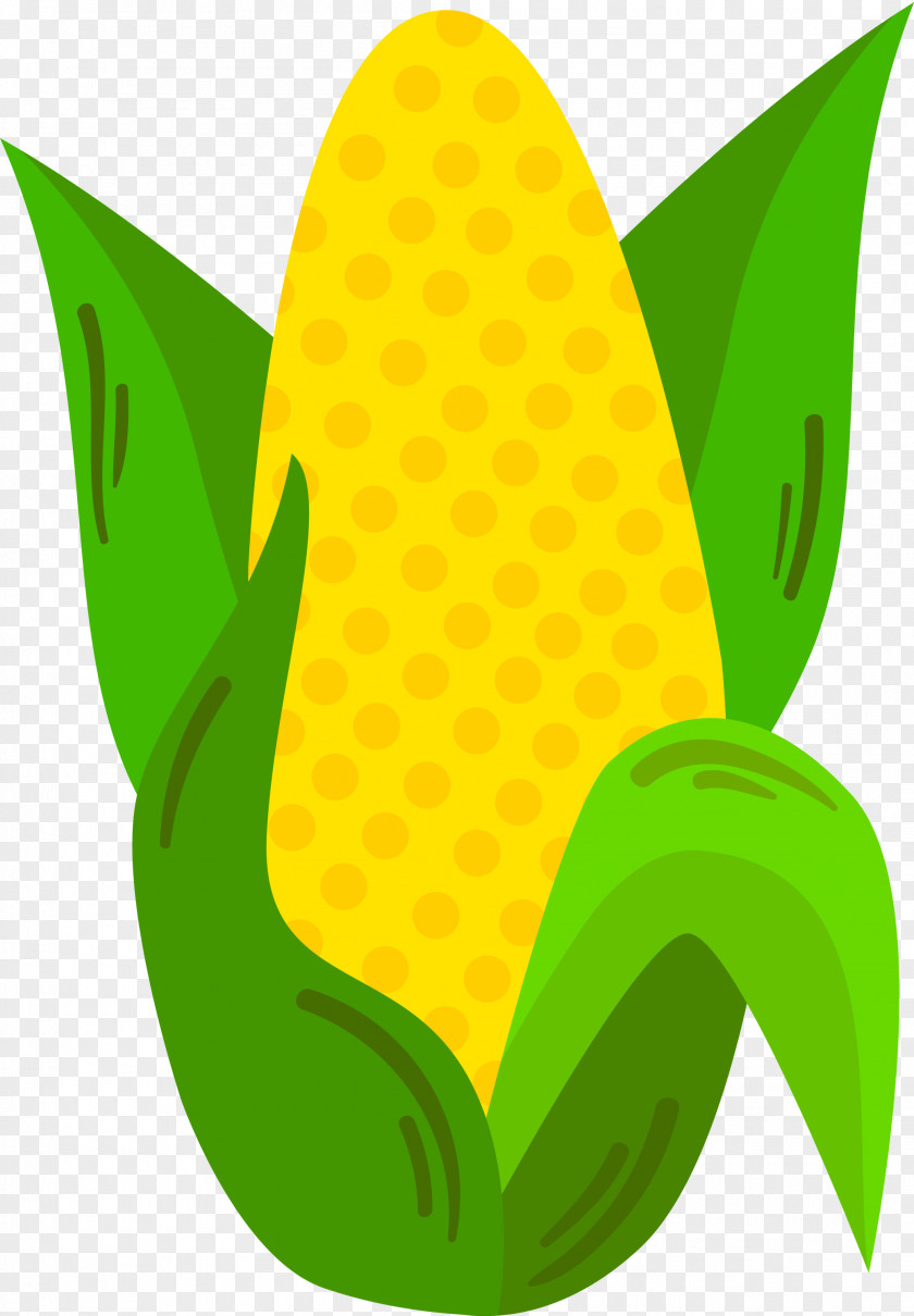 Green Leaf Plant Logo PNG