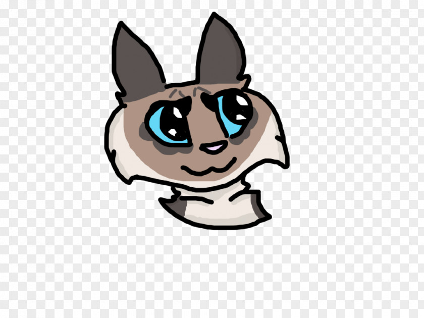 Kitten Whiskers Cat Horse Snout PNG