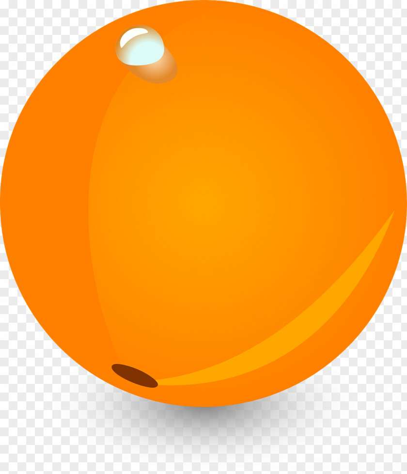 Orange Fruit Water PNG