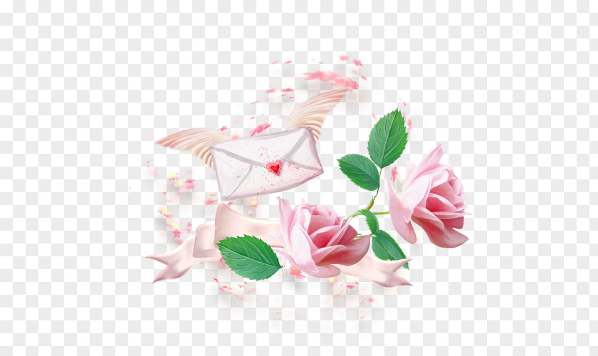 Chers Garden Roses Cabbage Rose PNG