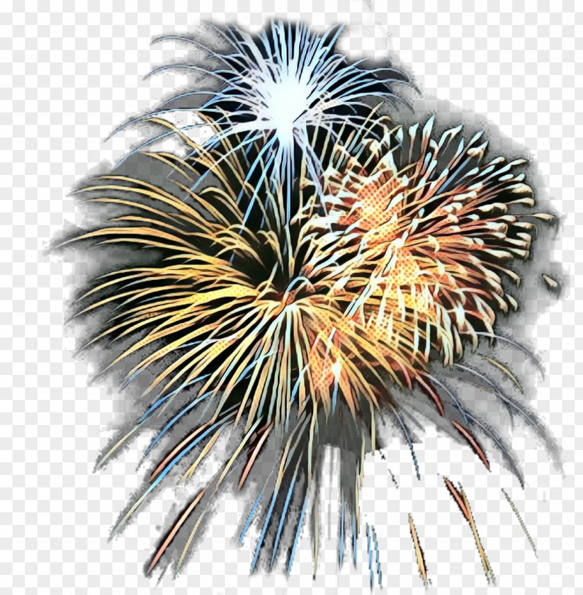 Fireworks Independence Day Clip Art Image Party PNG