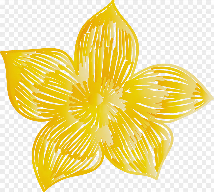 Petal Yellow Symmetry PNG