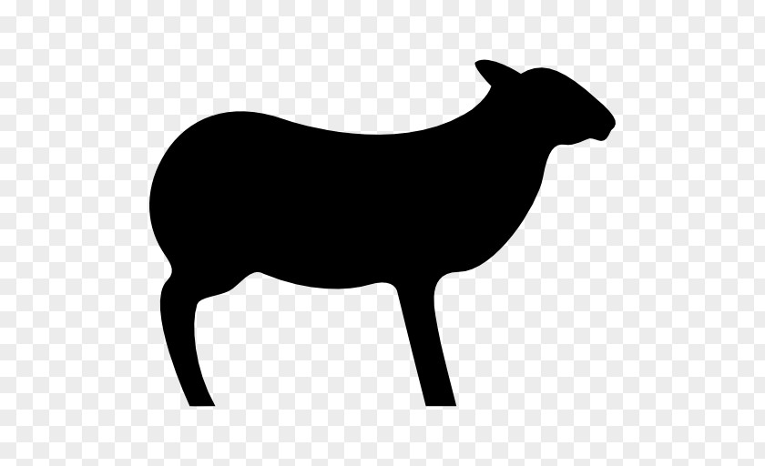 Seals Ocean Zoo Romanov Sheep Silhouette Cattle PNG