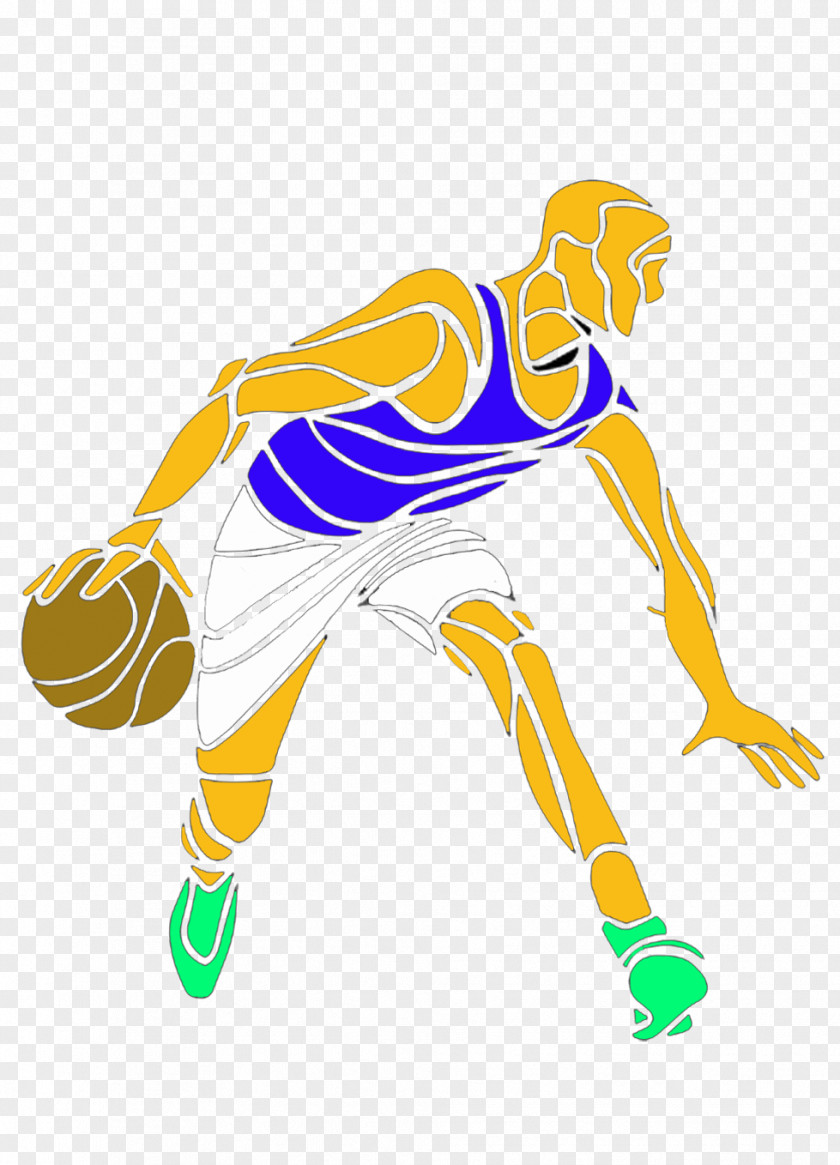 Vertebrate Shoe Clip Art Illustration Sports PNG