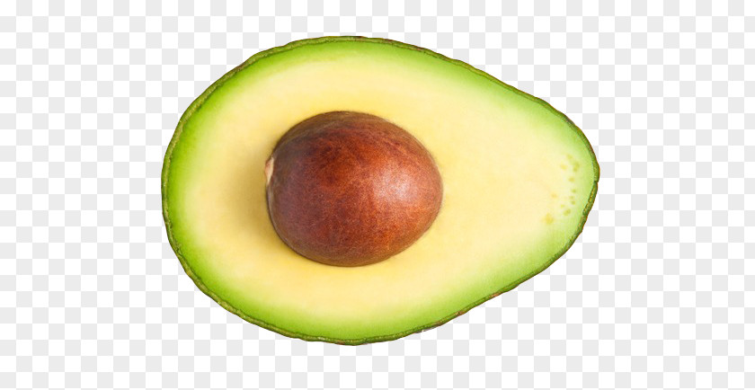 Avocado Fruit Food PNG