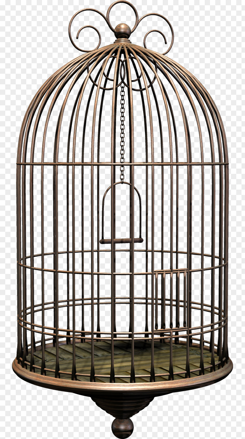 Bird Cage Birdcage Cockatiel PNG