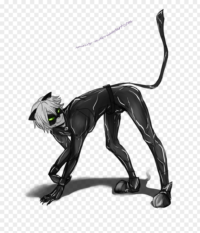 Cat Black Adrien Agreste Drawing Fan Art PNG
