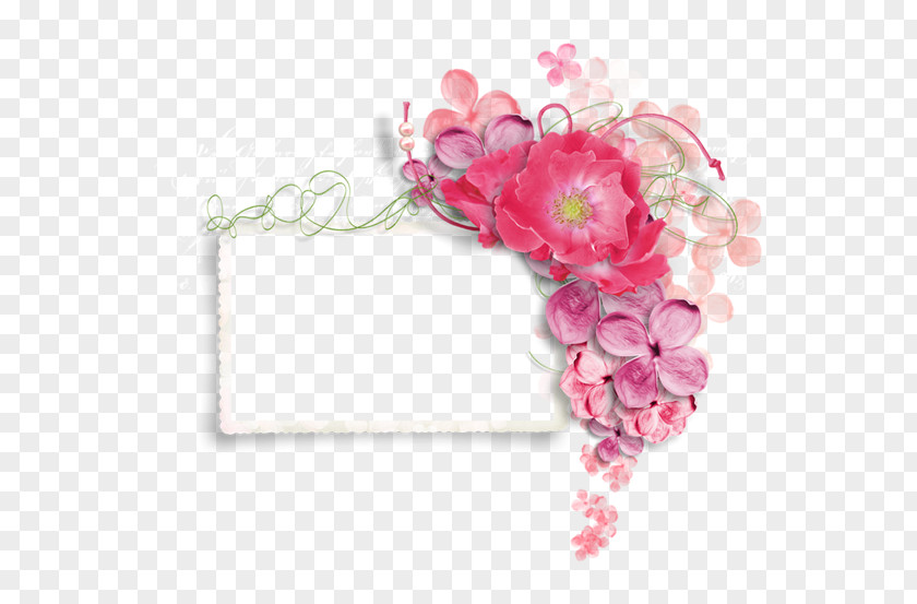 Delicate Flower Clip Art Floral Design Picture Frames Image PNG