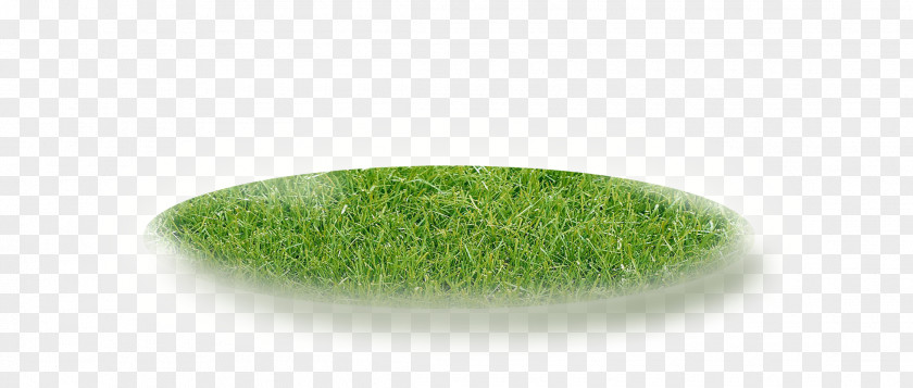 Grass Grasses Font PNG