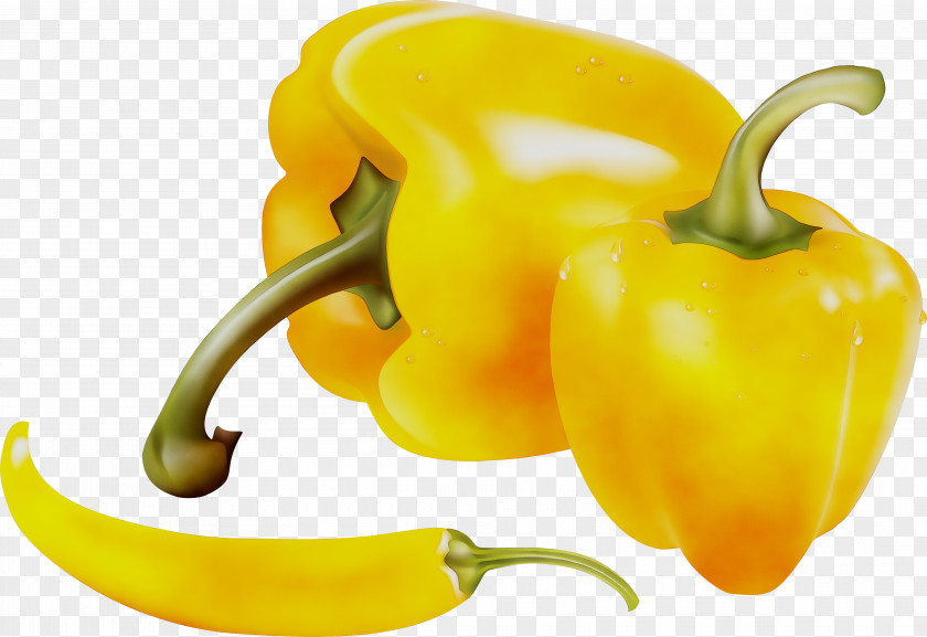 Habanero Yellow Pepper Cayenne Bell Chili PNG
