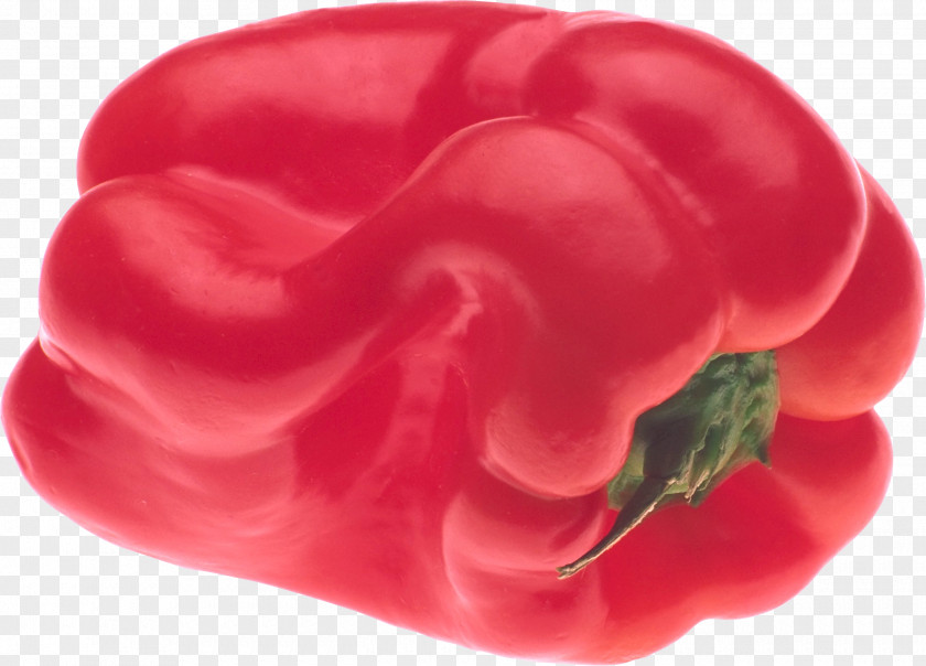 Red Pepper Image Chili Cayenne Vegetable PNG