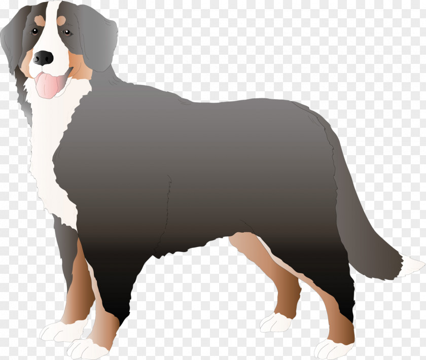 Working Dog Australian Shepherd Mountain Cartoon PNG