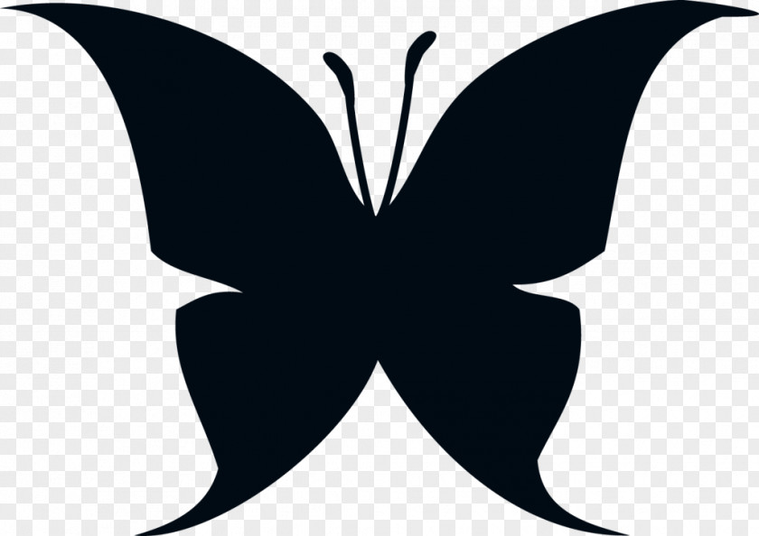 Butterfly Clip Art PNG