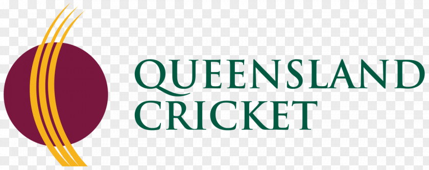 Cricket Queensland Team Nets Sport PNG