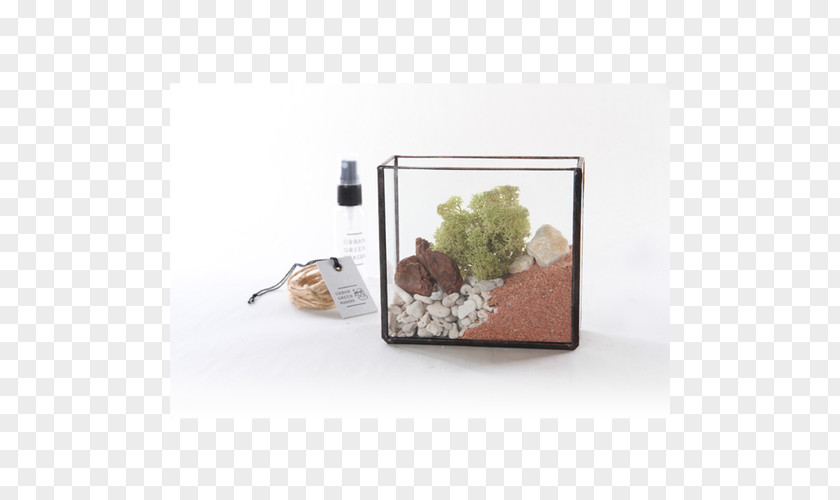 Glass Terrarium Crystal Mason Jar Poly PNG