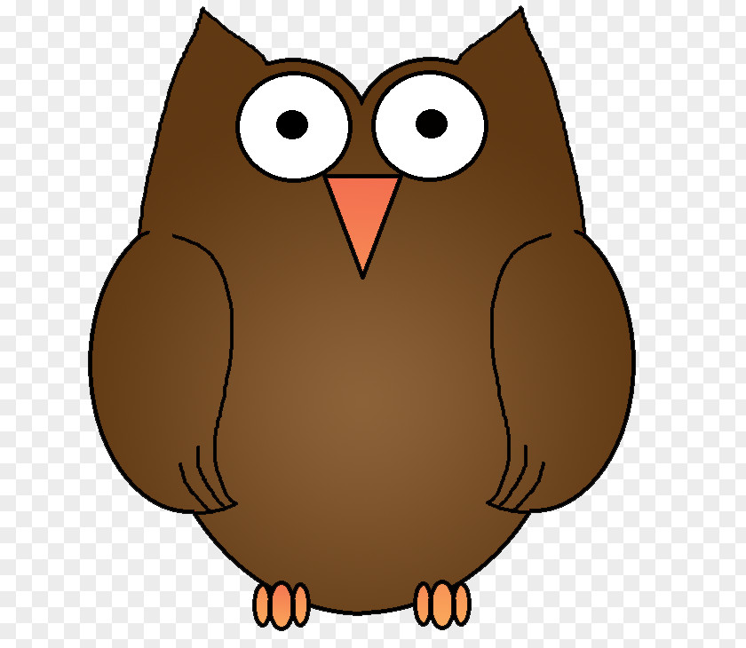 Owls Brown Hawk-owl Barn Owl Drawing Clip Art PNG