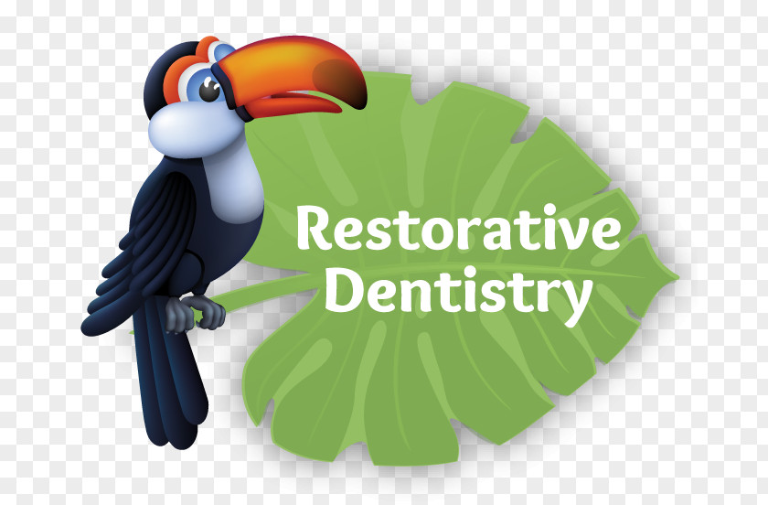 Restorative Dentistry Pediatric Dental Fear Orthodontics PNG