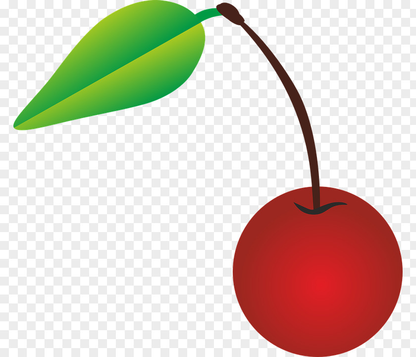 Cherry Vector Image Vegetable Fruit PNG