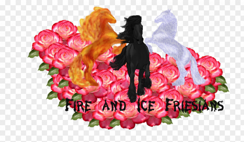 Ice Fire Cut Flowers Garden Roses Floral Design PNG